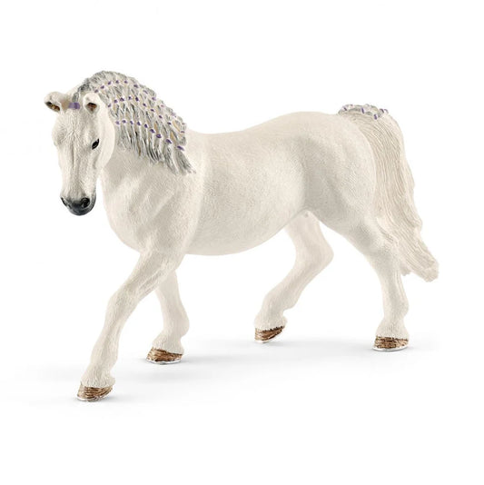 Lippizaner Mare