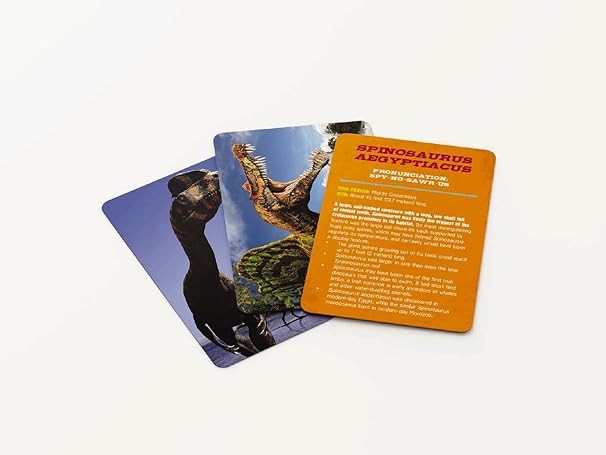 Dinosaur Flashcards