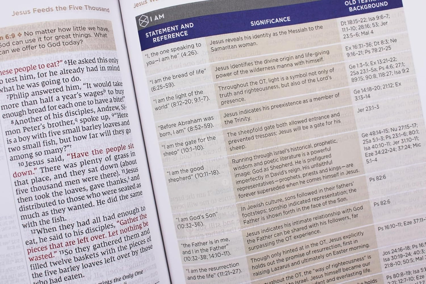 NIV Application Bible