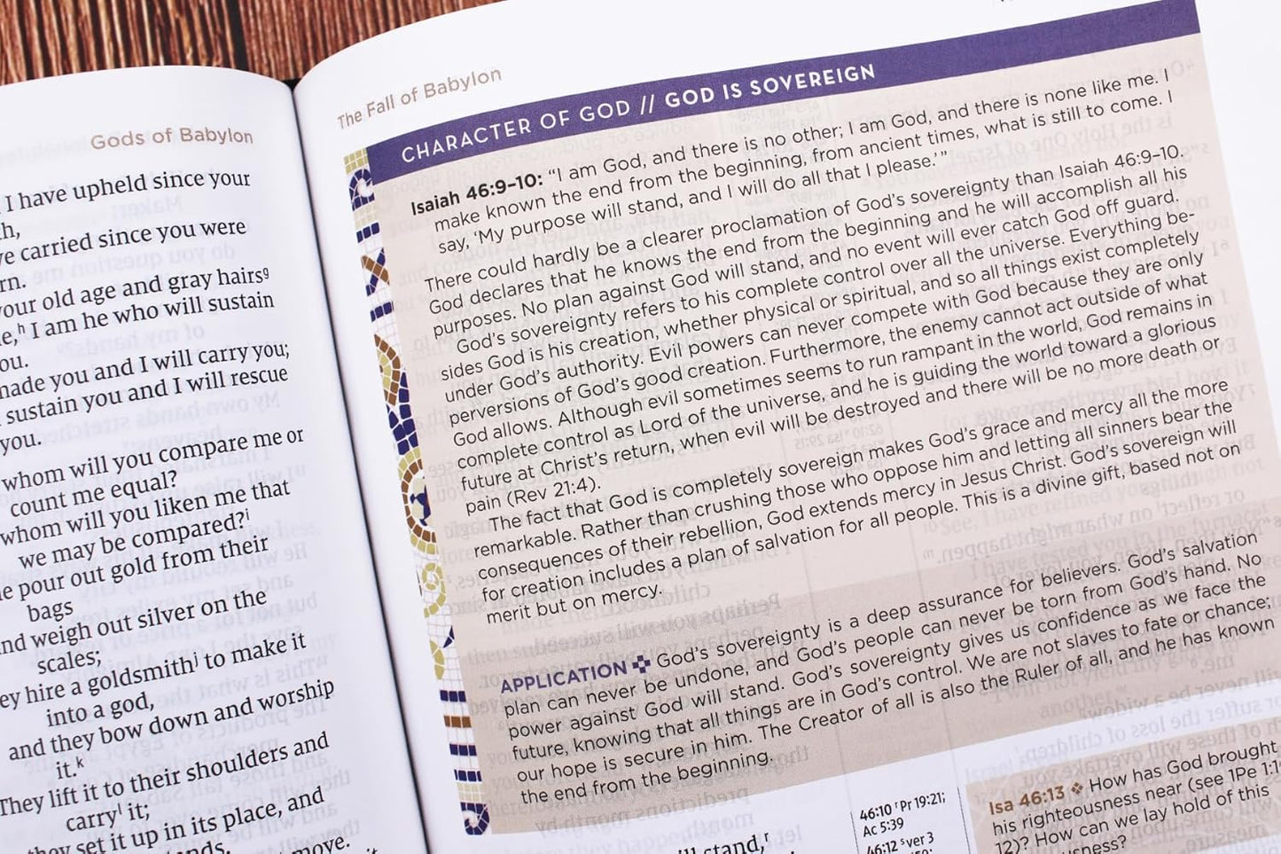 NIV Application Bible