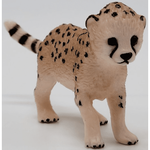 Cheetah Cub