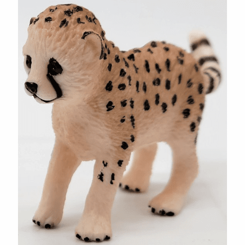 Cheetah Cub