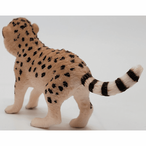 Cheetah Cub