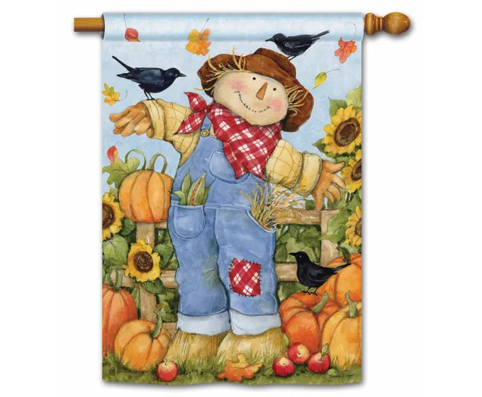 Garden Scarecrow Standard Flag