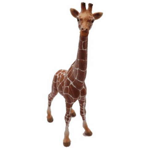 Giraffe Female