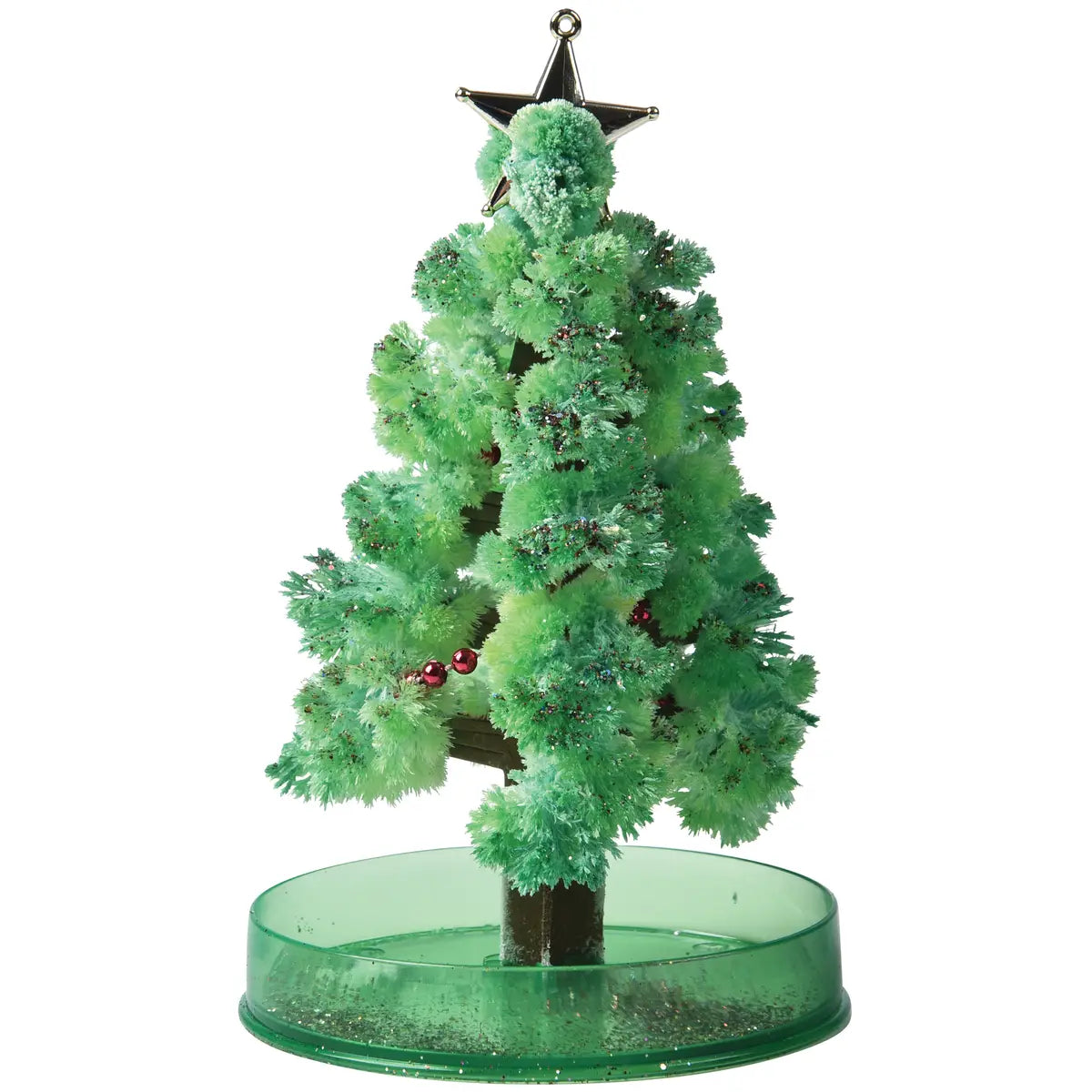 Grow a Christmas Tree