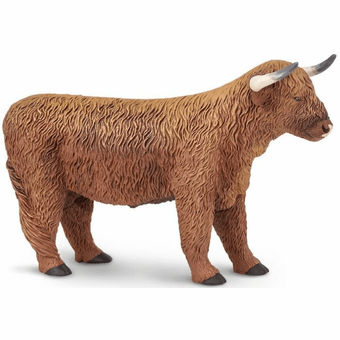 Highland Bull