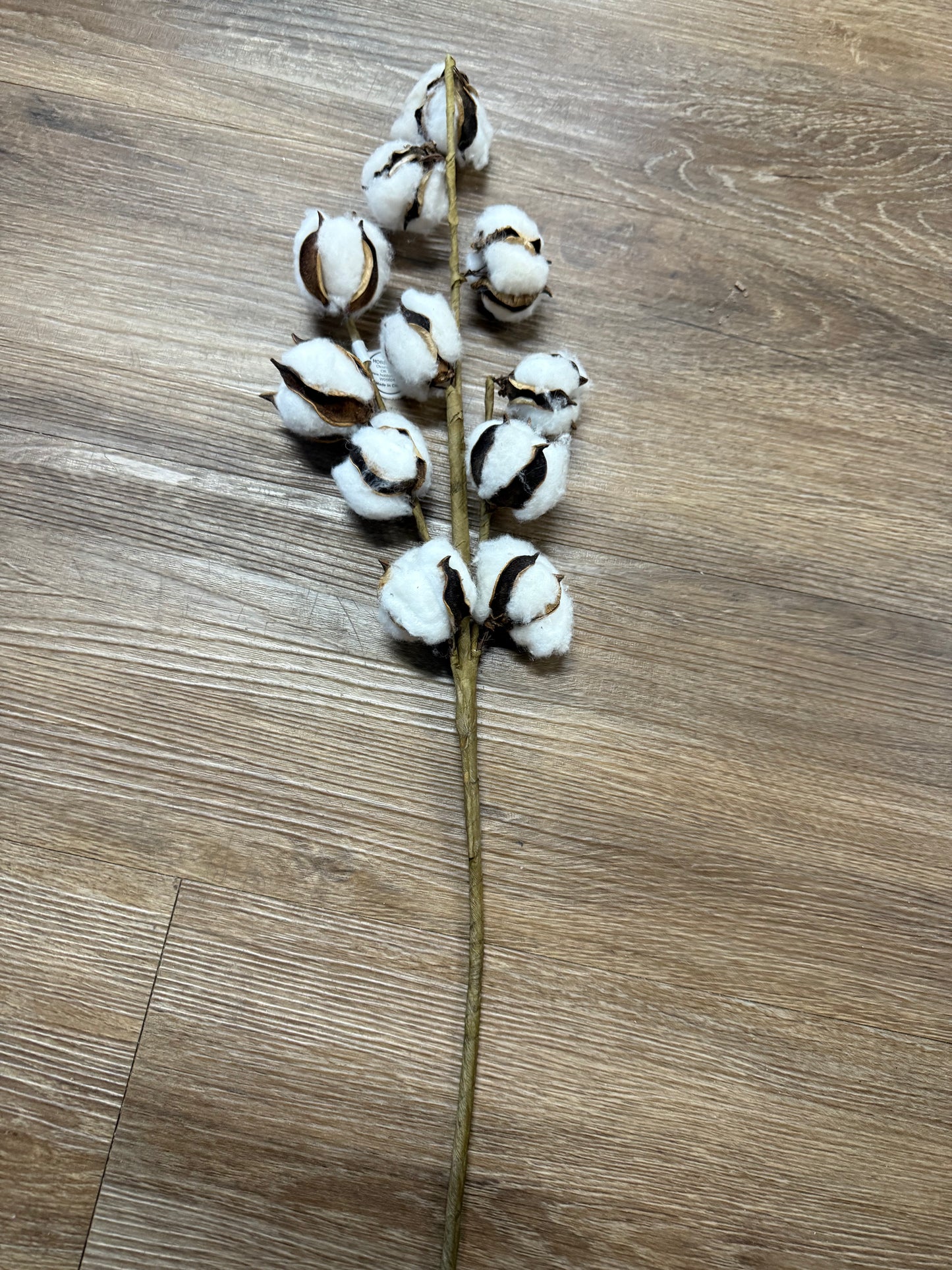 Cotton Stem Pick