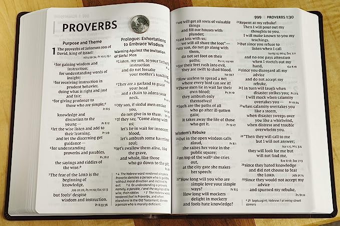 NIV Super Giant Reference Bible