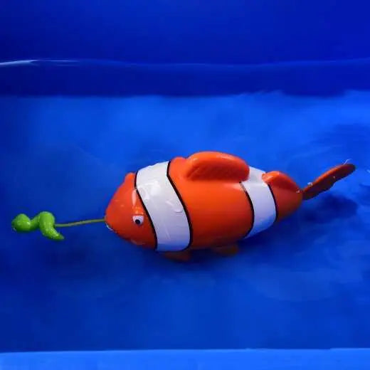Pull String Clown Fish