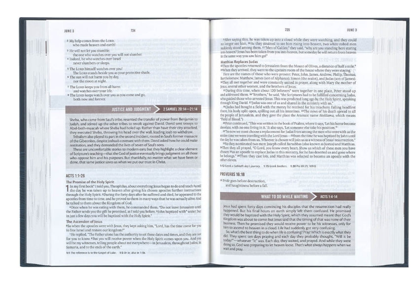 NLT Devotional Bible for Men