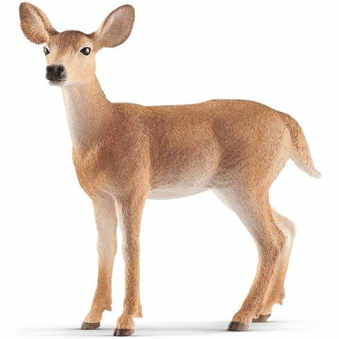 White Tailed Doe
