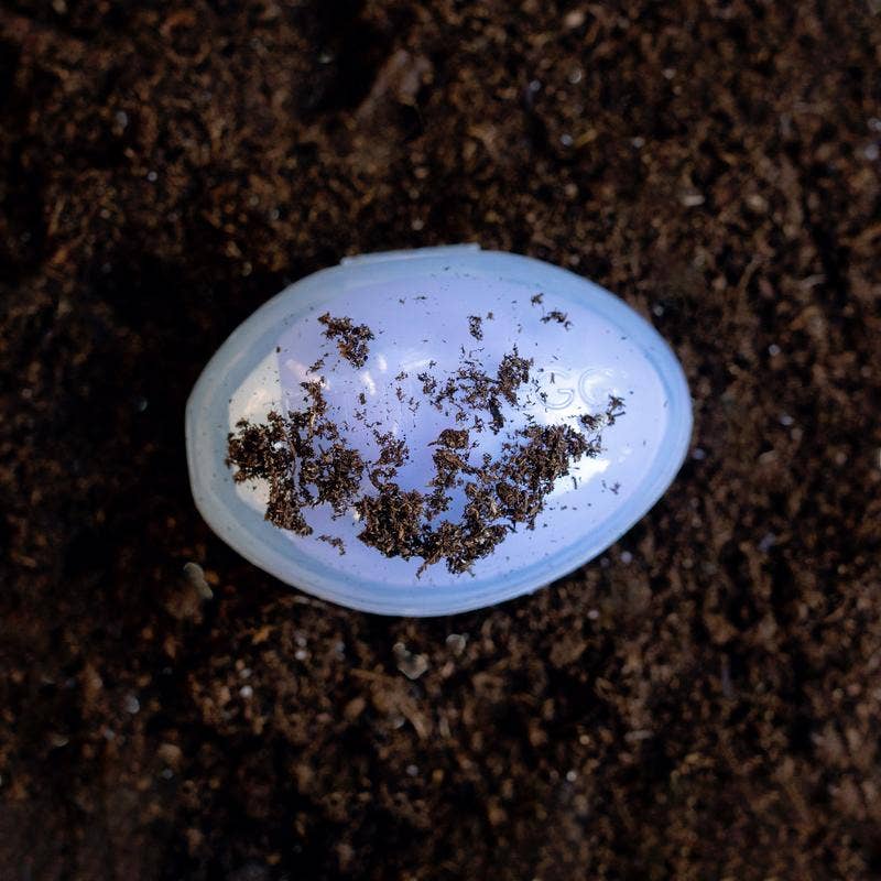 The Teething Eggshell Protective Case