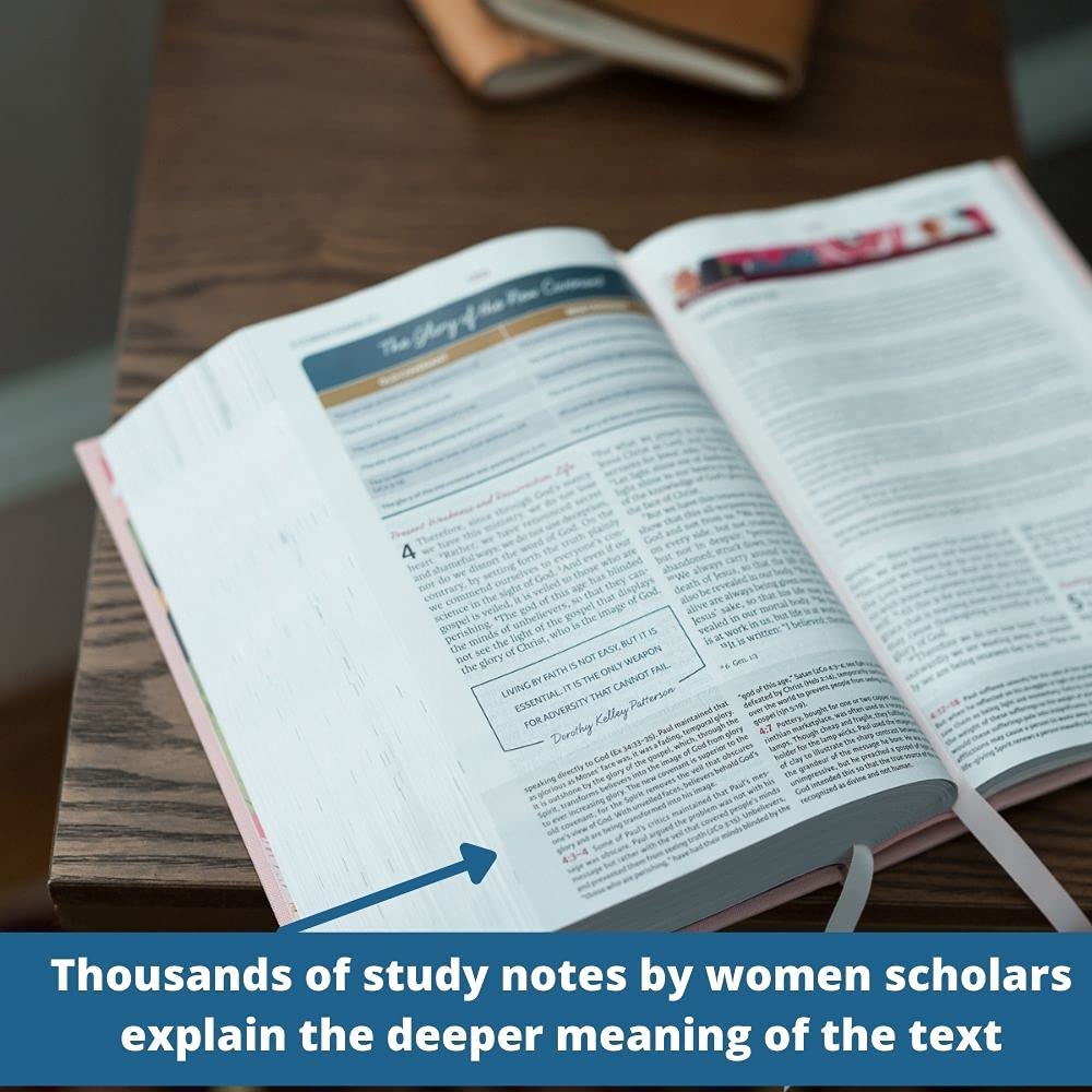 The Woman's Study Bible