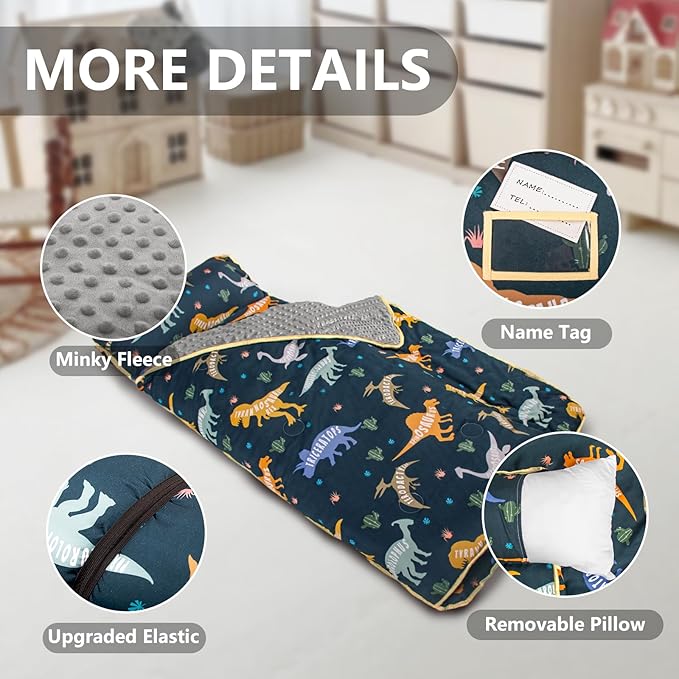 Dinosaurs Nap Mat