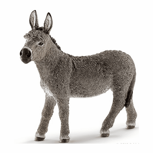 Donkey