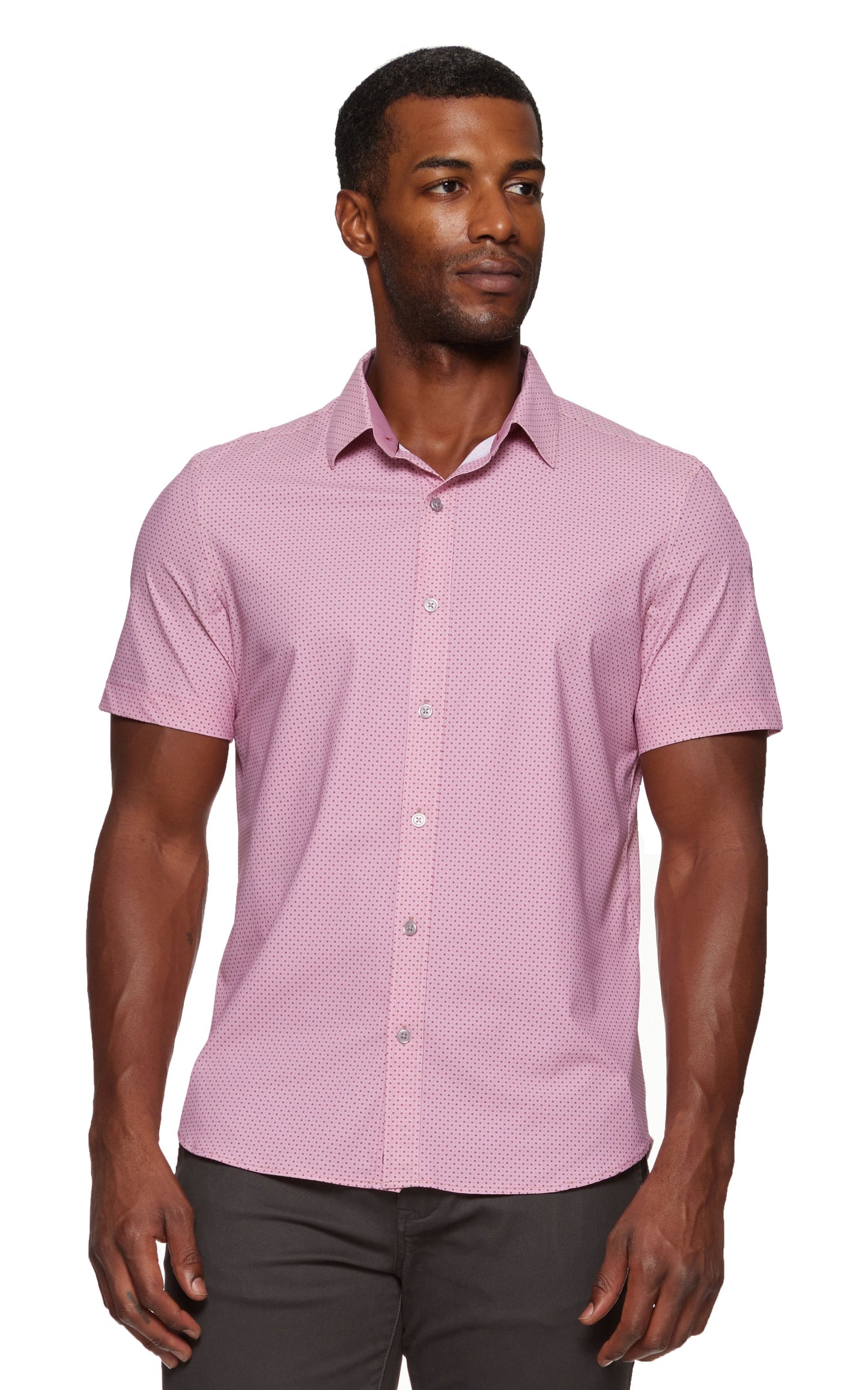 Campton Pink Dot Polo