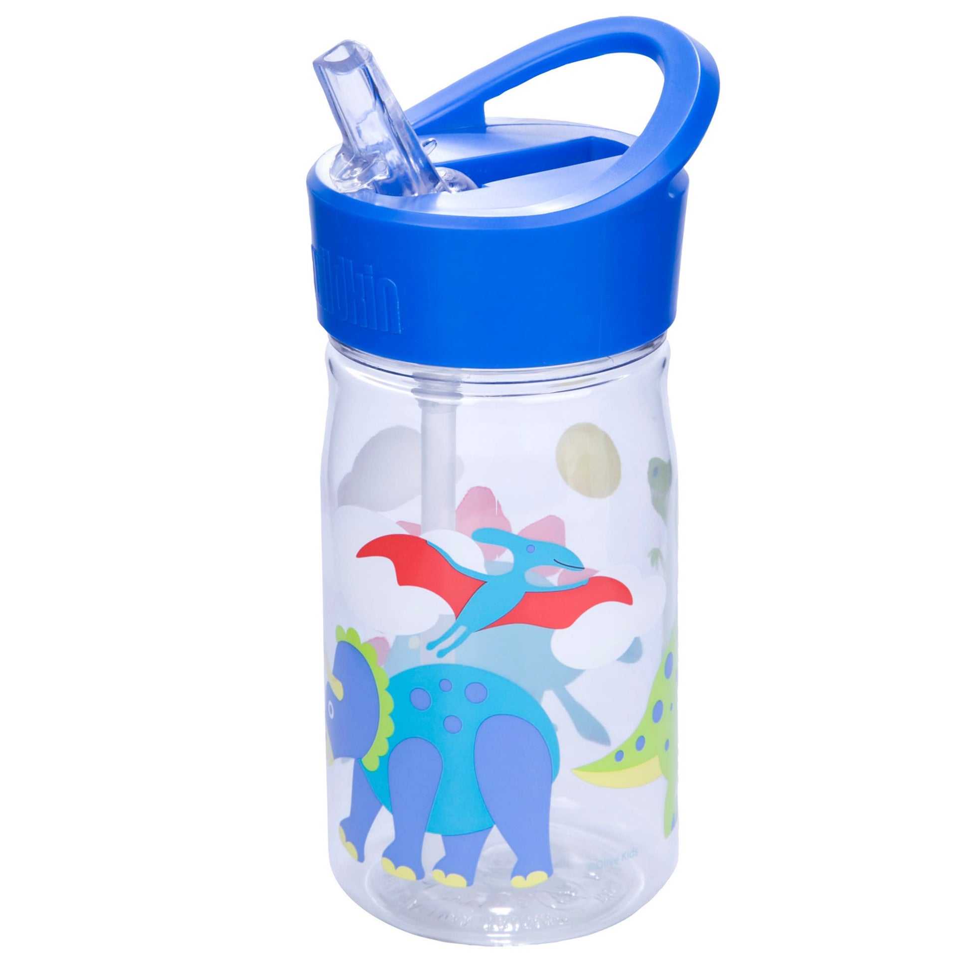 Wildkin Dinosaur Land Water Bottle