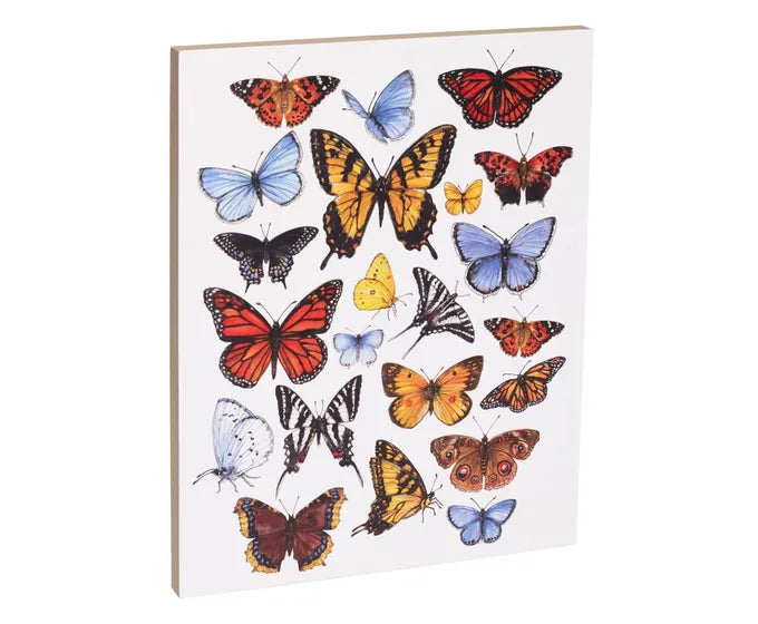 Butterfly Canvas