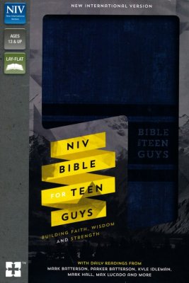NIV Bible for Teen Guys