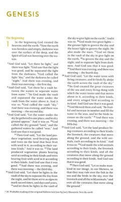 NIV Bible for Teen Guys