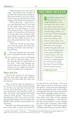 NIV Teen Study Bible
