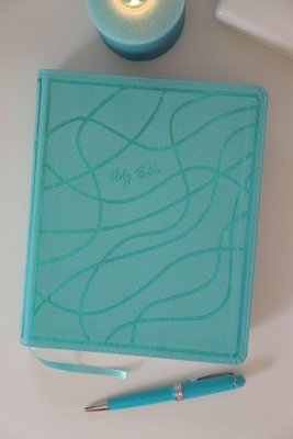 NIV Verse Mapping Bile For Girls Gathering the Goodness of God's Word