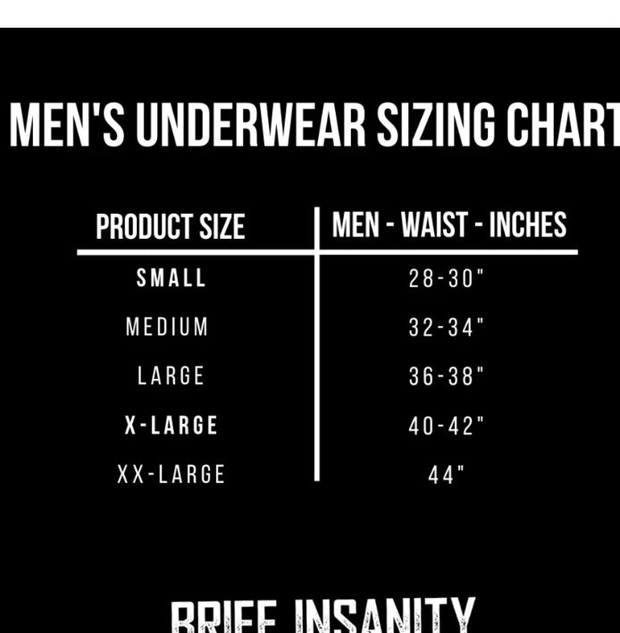 Brief Insanity Beer for Breakfast Underwear