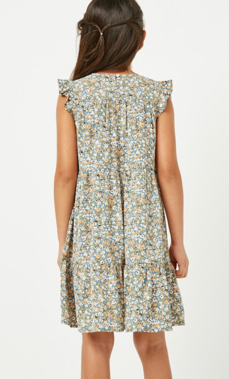 Girls Ruffle Sleeve Floral Dress