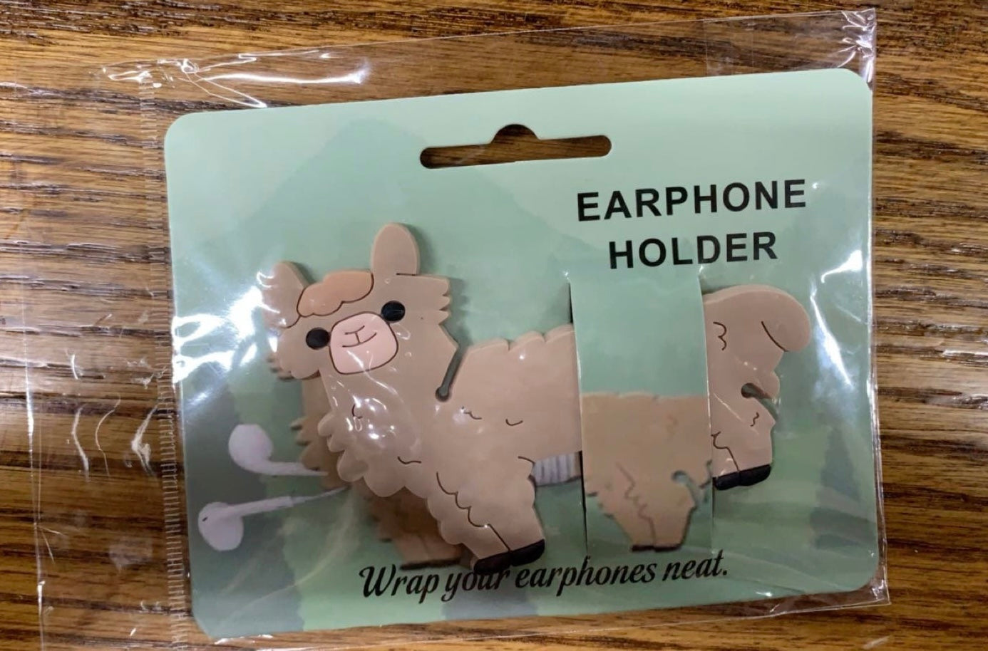 Earphone Holder