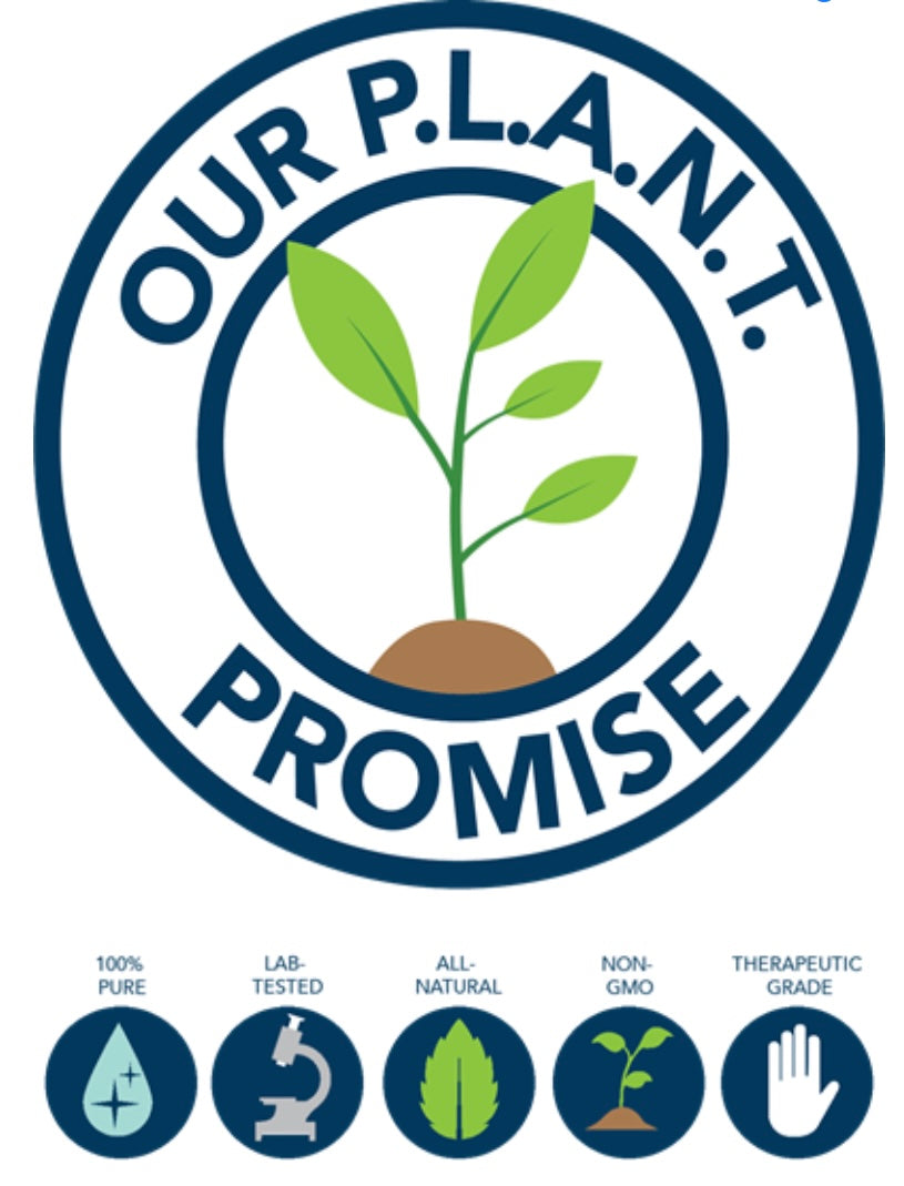 Guard Against Blend Essential Oil 15ml