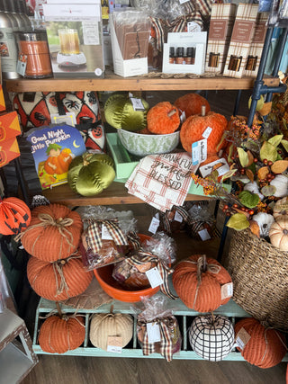 Fall collection cover featuring orange plush ribbed knit pumpkins with jute stems on white background