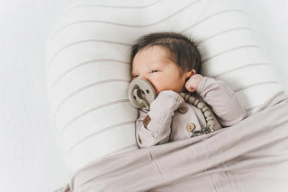 Cocoon Papillon