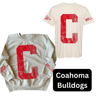 2026 YPIP Varsity Spirit Top PREORDER