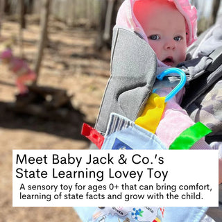 Texas State Facts Crinkle Toy