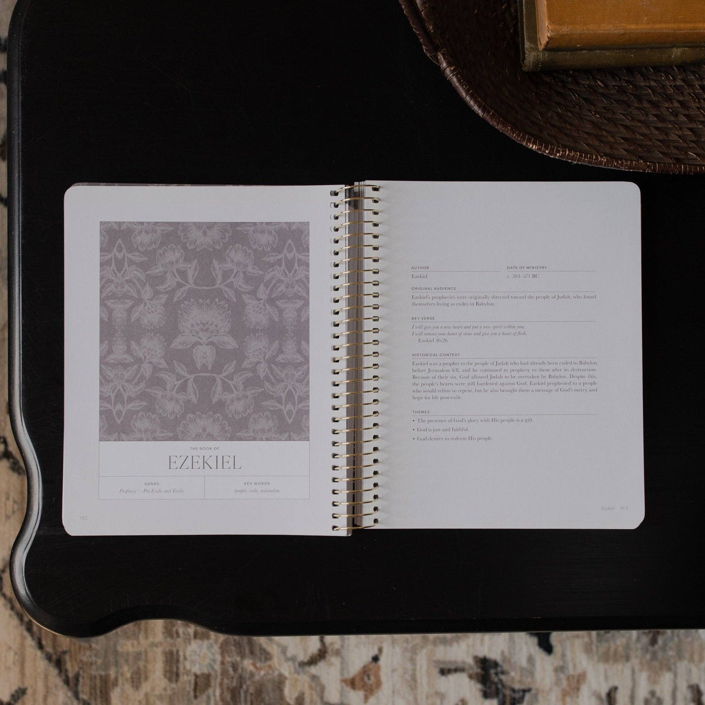 A Year in the Bible Vol. 3