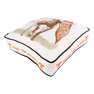 Glory Haus Texas Longhorns Hook Em Horns decorative floor pillow in white and orange