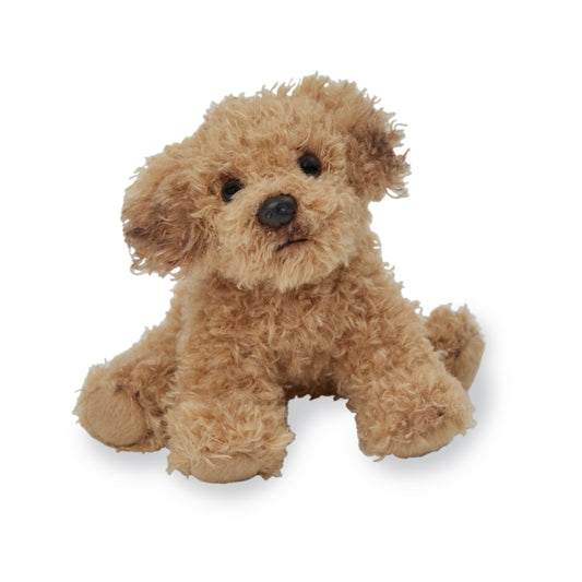 5in Leo Goldendoodle