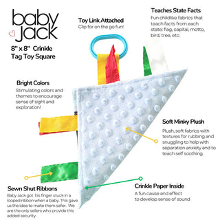 Texas State Facts Crinkle Toy