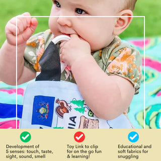 Texas State Facts Crinkle Toy