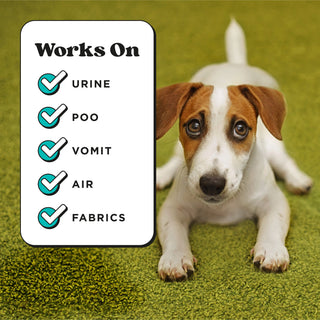 Pet-Pourri Pawsitively Fresh Room Spray