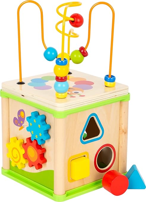Insect Motor Skills Cube