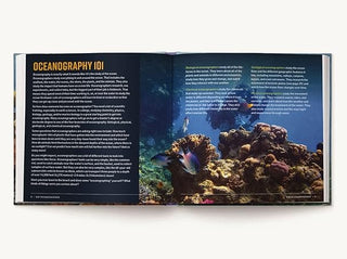 Kid Oceanographer