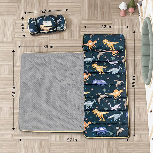 Dinosaurs Nap Mat