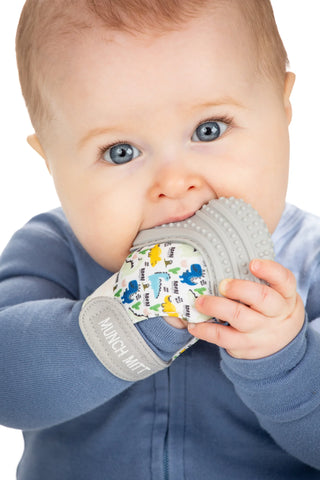 Dino Roar Munch Mitt