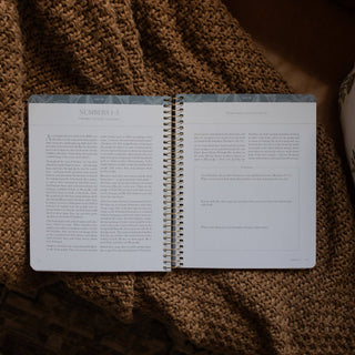 Open spiral-bound Bible study book showing Numbers 1–3 devotional pages, Day 39