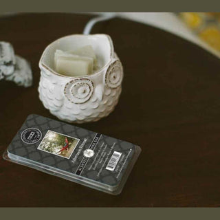 Cream owl ceramic wax melt burner with spiral eyes holding beige Afternoon Retreat soy wax bars