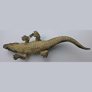Alligator
