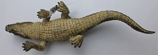 Alligator