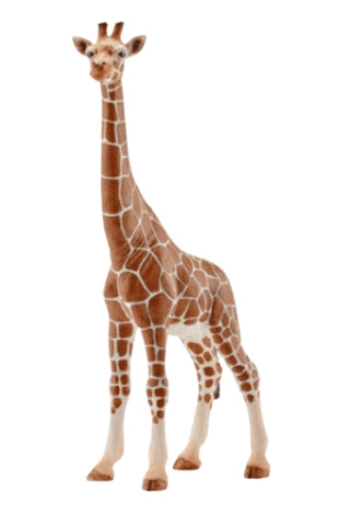 Angled Giraffe toy